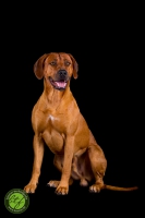 20160910-dante 5